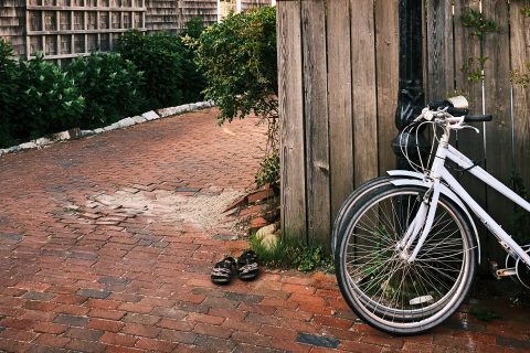 Summer's Quiet Corner