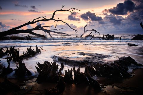 Tempestuous Reach of Dusk