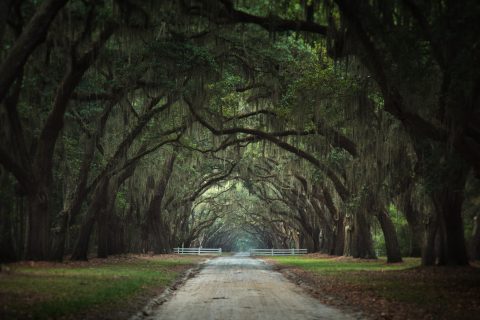 The Arc of Infinite Green