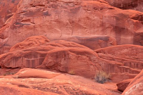 The Crimson Fold of Time