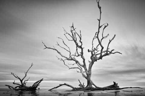 The Great Arch of Spirit