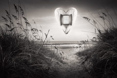 The Heart’s Prison