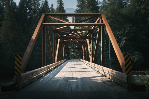 The Iron Gate to the Woods