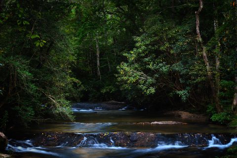 The River's Secret Path