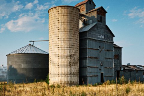 The Sentinel of the Harvest