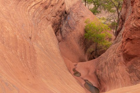 The Serpent’s Path of Stone