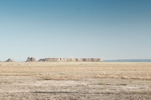 The Solitary Wanderer