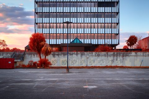 The Times Union in a Violet Haze