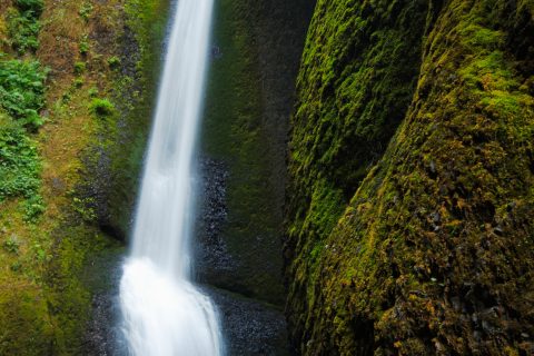 The Veiled Altar of the Gorge