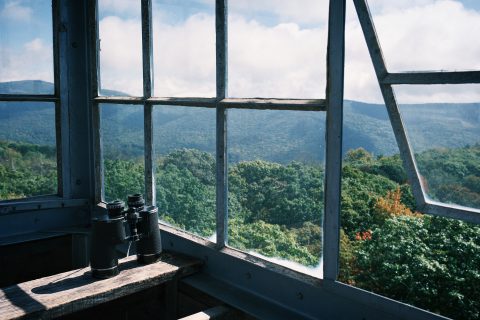 The Watcher's High Perspective