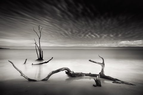 Tide Etched Monochrome