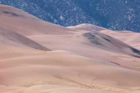 Tides of the Great Dune