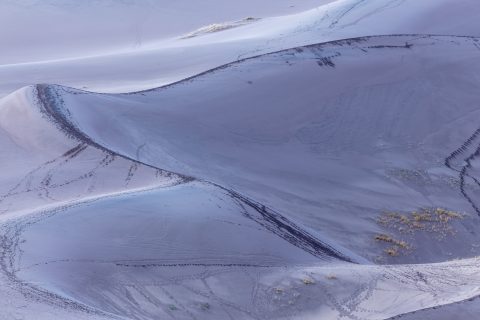 Tracks of the Vanishing Traveler