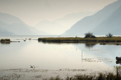 Veils of Mist Along the Narrow Path