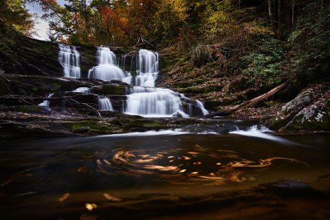 Vortex of the Season