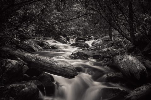 Where Time Becomes Liquid