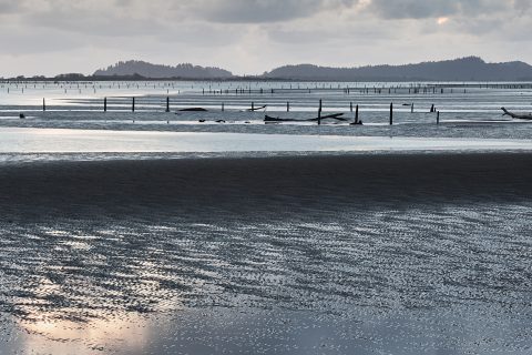 Whispers of the Receding Tide