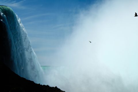 Witnesses to the Great Descent